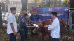 Pangkalan TNI AL Bandung Laksanakan Penyembelihan dan Penyaluran Daging Hewan Kurban Kepada Personel Lanal Bandung