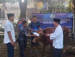 Pangkalan TNI AL Bandung Laksanakan Penyembelihan dan Penyaluran Daging Hewan Kurban Kepada Personel Lanal Bandung
